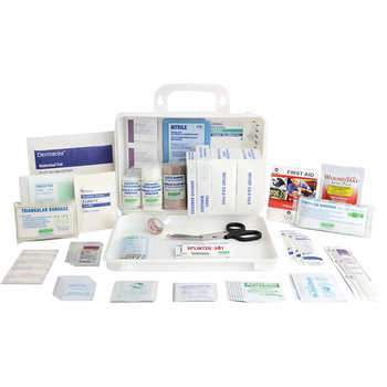 Deluxe Home/Office/Sports First Aid Kit - SERVOXY INC